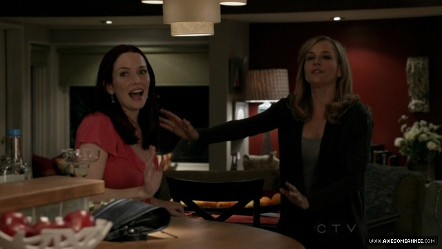 Annie Wersching in No Ordinary Family