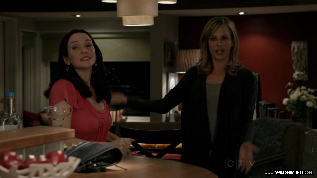 Annie Wersching in No Ordinary Family