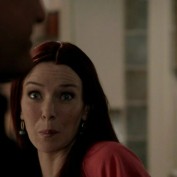 Annie Wersching in No Ordinary Family