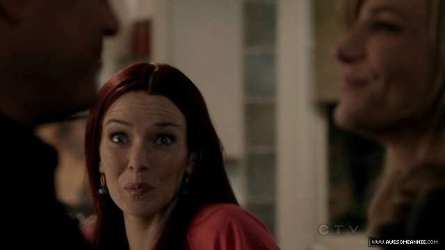 Annie Wersching in No Ordinary Family