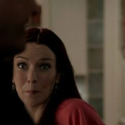 Annie Wersching in No Ordinary Family