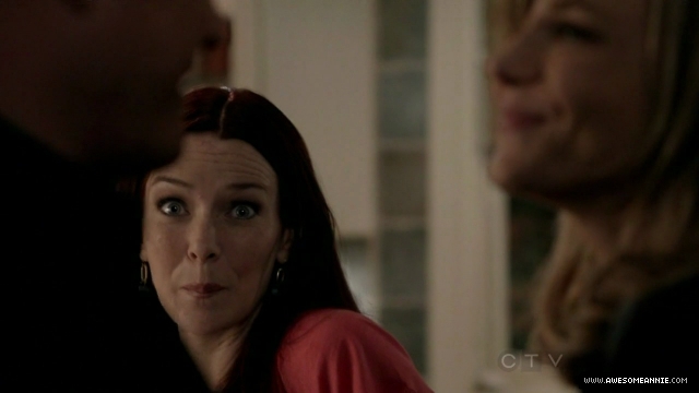 Annie Wersching in No Ordinary Family