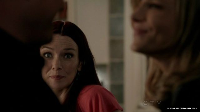 Annie Wersching in No Ordinary Family