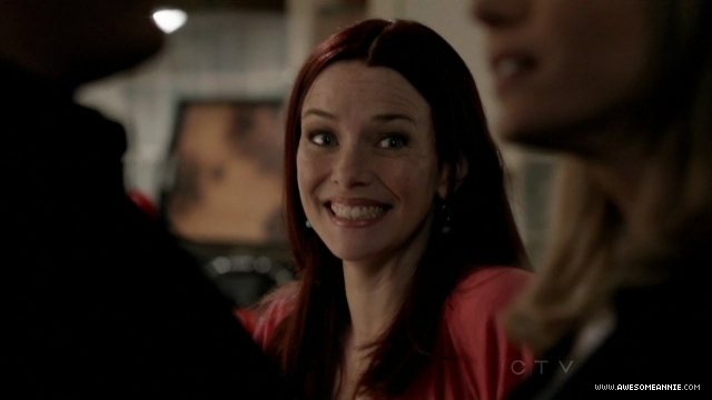 Annie Wersching in No Ordinary Family