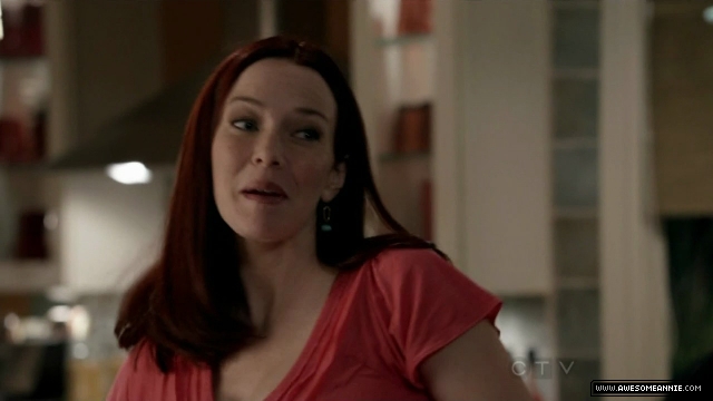 Annie Wersching in No Ordinary Family