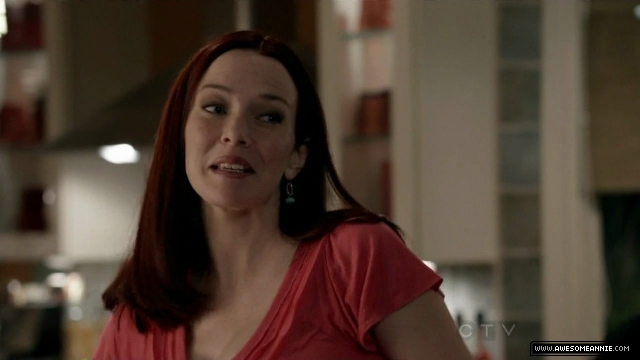 Annie Wersching in No Ordinary Family