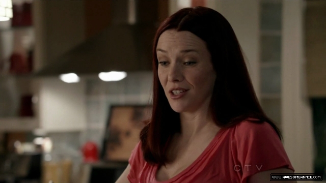 Annie Wersching in No Ordinary Family