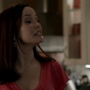 Annie Wersching in No Ordinary Family