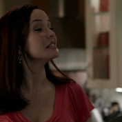 Annie Wersching in No Ordinary Family