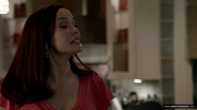 Annie Wersching in No Ordinary Family