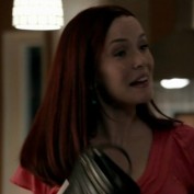 Annie Wersching in No Ordinary Family