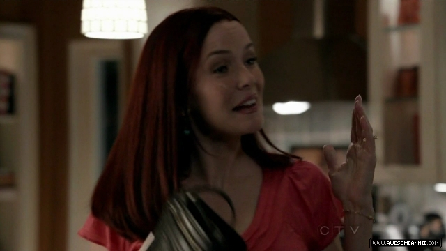 Annie Wersching in No Ordinary Family