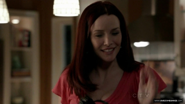 Annie Wersching in No Ordinary Family