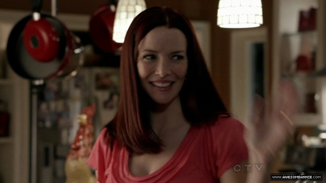 Annie Wersching in No Ordinary Family