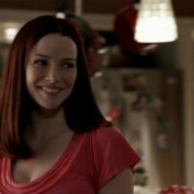 Annie Wersching in No Ordinary Family