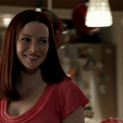 Annie Wersching in No Ordinary Family