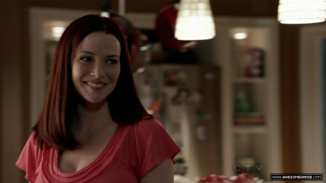 Annie Wersching in No Ordinary Family