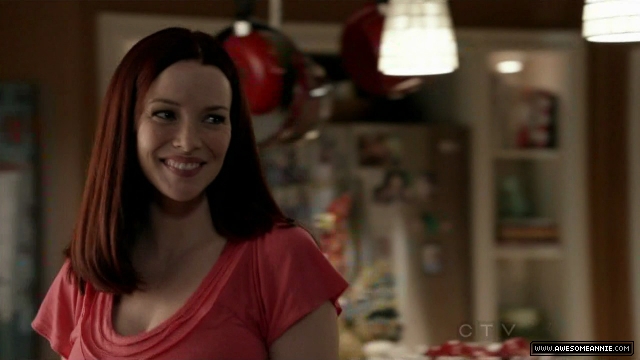 Annie Wersching in No Ordinary Family