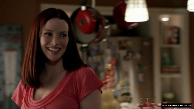 Annie Wersching in No Ordinary Family