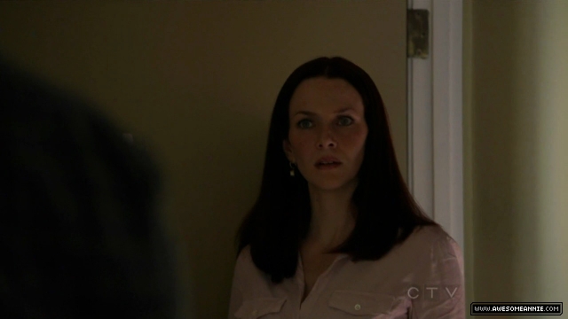 Annie Wersching in No Ordinary Family