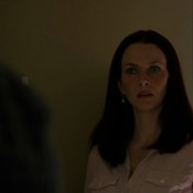 Annie Wersching in No Ordinary Family