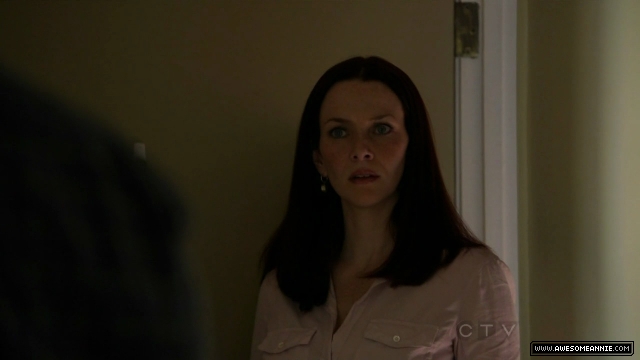 Annie Wersching in No Ordinary Family