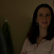 Annie Wersching in No Ordinary Family