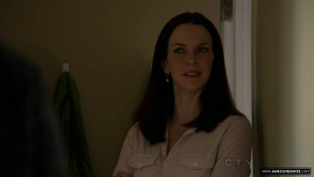 Annie Wersching in No Ordinary Family