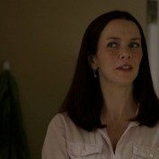 Annie Wersching in No Ordinary Family