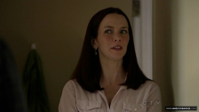 Annie Wersching in No Ordinary Family