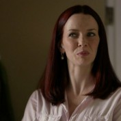 Annie Wersching in No Ordinary Family