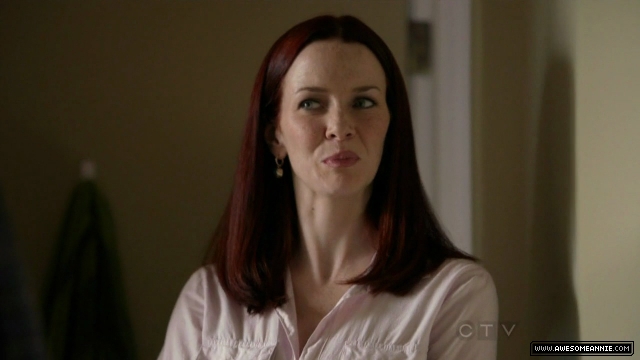 Annie Wersching in No Ordinary Family