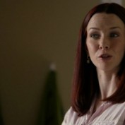 Annie Wersching in No Ordinary Family