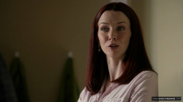 Annie Wersching in No Ordinary Family