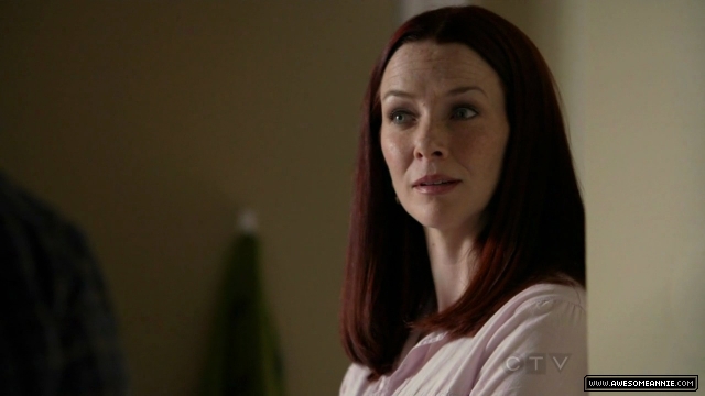 Annie Wersching in No Ordinary Family