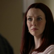 Annie Wersching in No Ordinary Family