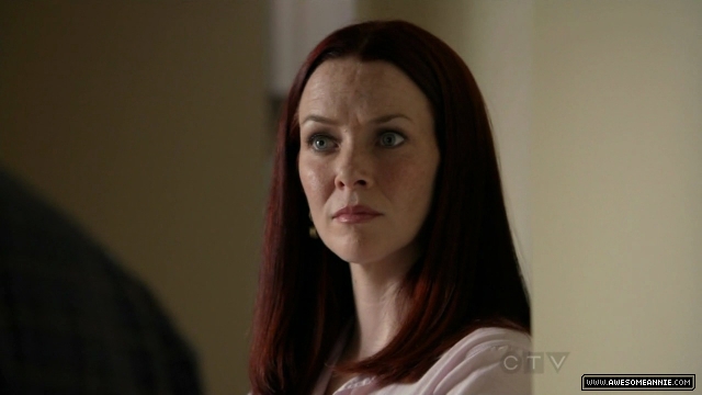 Annie Wersching in No Ordinary Family