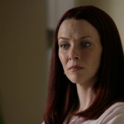 Annie Wersching in No Ordinary Family