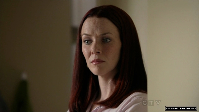 Annie Wersching in No Ordinary Family