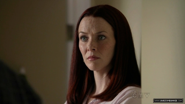 Annie Wersching in No Ordinary Family