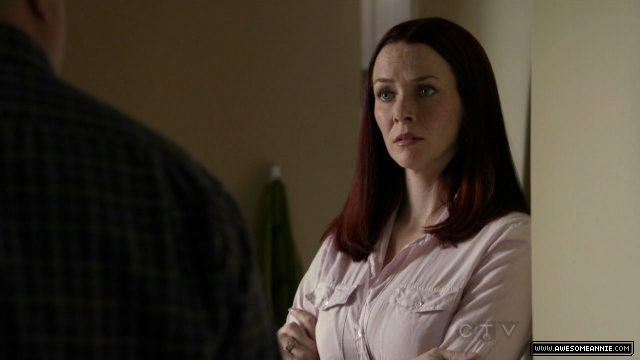 Annie Wersching in No Ordinary Family