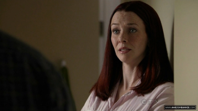 Annie Wersching in No Ordinary Family