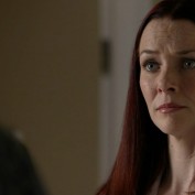 Annie Wersching in No Ordinary Family