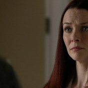 Annie Wersching in No Ordinary Family