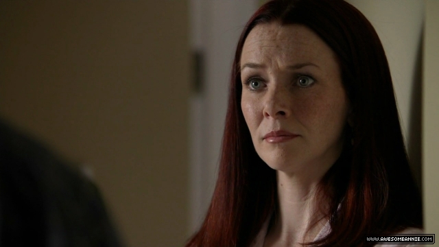 Annie Wersching in No Ordinary Family