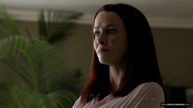 Annie Wersching in No Ordinary Family