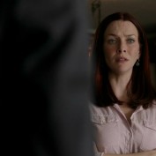 Annie Wersching in No Ordinary Family