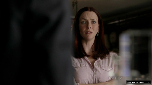 Annie Wersching in No Ordinary Family