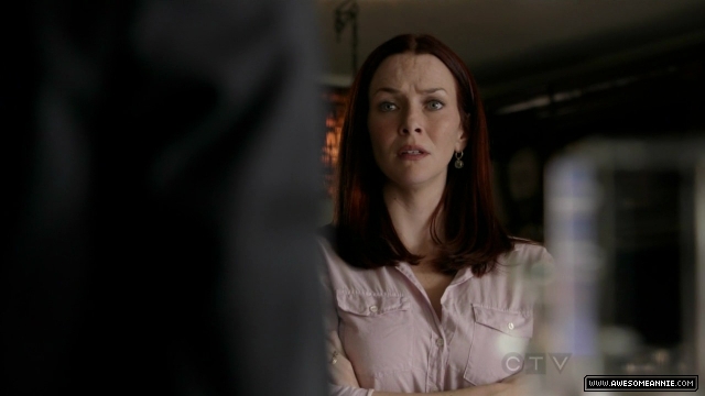 Annie Wersching in No Ordinary Family