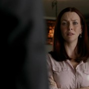 Annie Wersching in No Ordinary Family